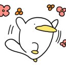 바이오쥬얼리 이미지