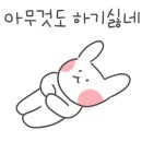 솔밭길샤브 이미지