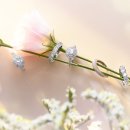 (주)인피니스 이미지