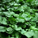 산림청 동부지방산림청 영월국유림관리소 이미지