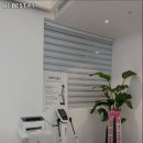 BE BEST PT 네이버블로그