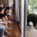 캔버라호텔 옆 이미지