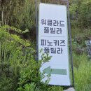 위클라드펜션 | 경주 애견동반 펜션 위클라드 풀빌라 숙소 독채 수영장