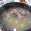 철마우림