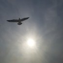 태양이미용재료 이미지