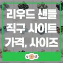 리우드 이미지
