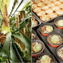 서승만농장 이미지