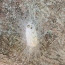 해운대푸른어린이집 이미지