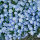 도자기 원데이클래스 이미지