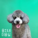 뭉치네 미용실 이미지