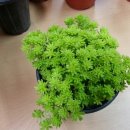 기쁨이네농장 이미지