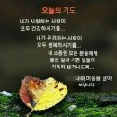 기본~ 이미지