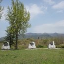 신녕면-성환산공원-1