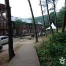 국립청태산자연휴양림 Daum카페