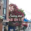인두화 | [수원] 행궁동 장미 스팟 10곳, 정확한 위치 정보공유