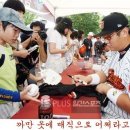 싸인 이미지