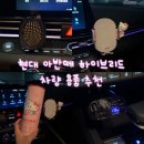 오 CAR | What’s in my car🚗 왓츠인 마이카 현대 아반떼 하이브리드 차량용품 추천 총정리