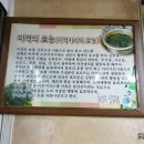 부산횟집 Daum카페