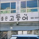 양촌읍 | 양이 대박인 양촌읍 동태탕 맛집 후기