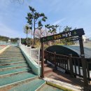 백두산-장척산-신어산(대동초등학교-백두산-정골마을쉼터-장척산-터실고개-생명고개-동봉-신어산-출렁다리-헬기장-서봉-빽-천진암-은하사) 이미지