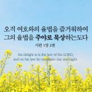 큐티 이미지