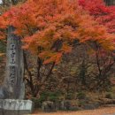 단양생태체육공원 | ++단양 구인사 &amp; 단양생태체육공원 노지 캠핑카 차박