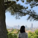 라이프텔 | [중국 칭다오여행] 1,2일차 : 산동항공, 델라이니호텔, 와이포지아, 소어산, 찌모루시장, 중산로...