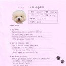 1244 | [#1244] 순자(우측 경골 골절)의 수술후기