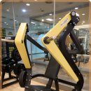 쏘마휘트니스 이미지