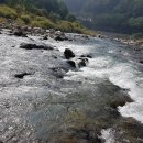 아름다운 낙동강 3구간(적막강산 그곳 강 위에서 길을 찾다) 이미지