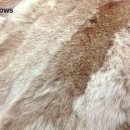 옷사랑세탁 이미지