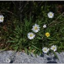 성남뮤직페스티벌 이미지