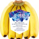 풍미농장 이미지