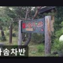 대전 유성구 한식당 다솜차반 건강한 맛과 정성이 느껴져요