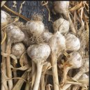 달봉농원 이미지