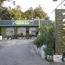 장신주유소 Daum카페