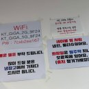 돈카와치 | 산본 '돈카와치' 돈카츠 맛집!! 내 돈 내산 후기(안심카츠)