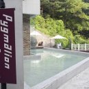 피그멜리온 이펙트 이미지