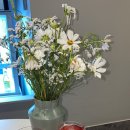 라플로르 이미지