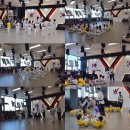 경희대 위드 태권도 이미지