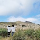 (주)제주프리투어 이미지