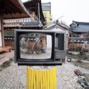 체험마을나실 이미지