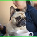 마음동물의료센터 이미지