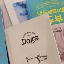 강변의 하루 이미지