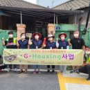 고치집 이미지