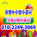 유명 방수