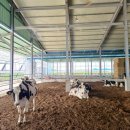 향상농장 이미지