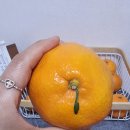 당신의 | 당신의 말이 곧 당신의 수준이다 후기