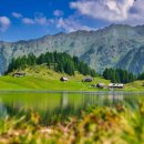 숲속의작은마을 이미지