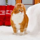 우다다 이미지